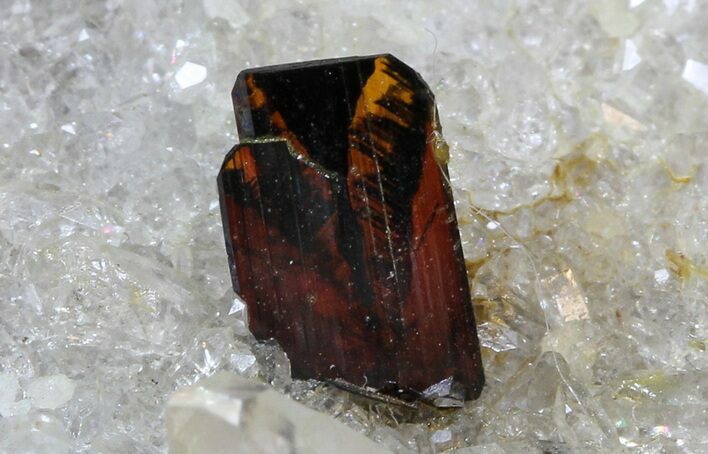 Tabular Brookite Crystals with Quartz - Pakistan #38653